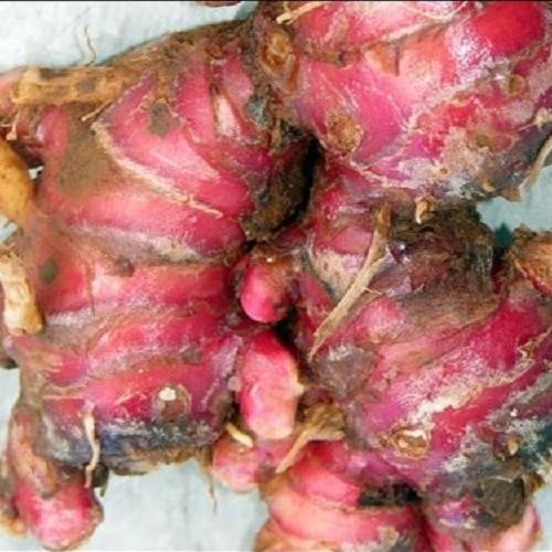 

Jahe Merah 1Kg 06