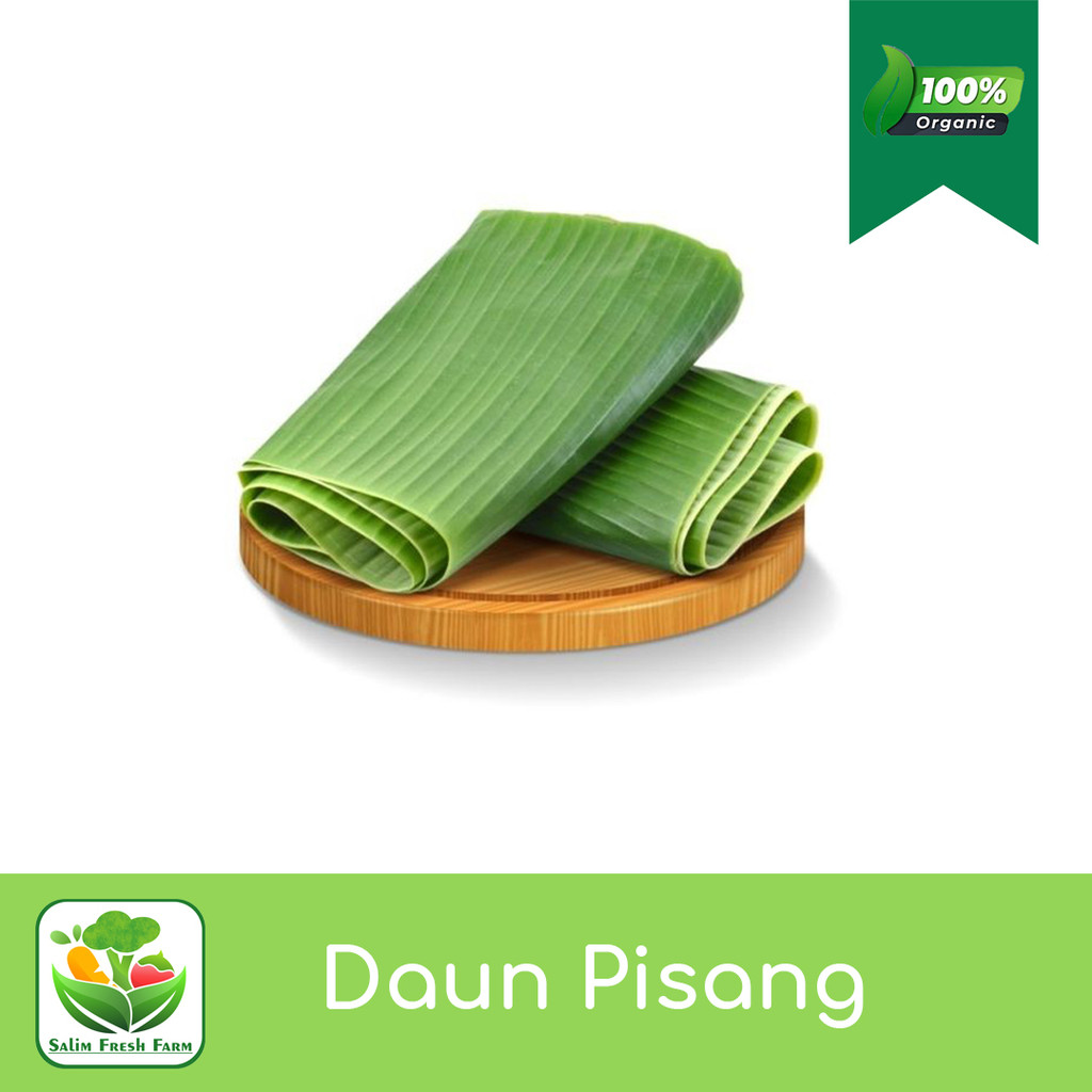 

Daun pisang per ikat / Daun pisang segar / Daun pisang siap pakai / Daun pisang muda
