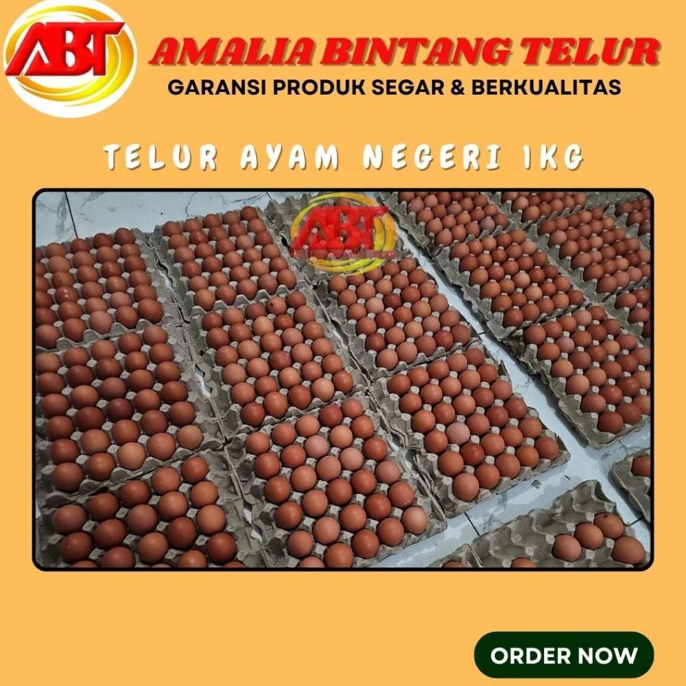 

Telur Ayam Negeri 1kg Berkualitas & Segar Nugi