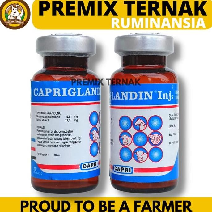 TERMURAH - CAPRIGLANDIN INJ 10 ml - Hormon Sinkronisasi Estrus Sapi Kambing Domba Kuda Babi