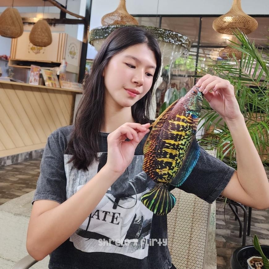 

Uk-75 Tempat Pensil Ikan Pouch Bentuk Ikan Atau Tempat Makeup Lucu Unik Untuk Sekolah Banyak Variasi Uk-75