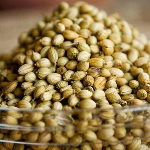 

.........] Biji Ketumbar - Coriander seed 200 gr