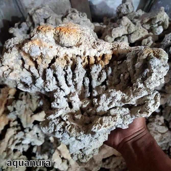1 karung batu karang dead rock deadrock kolam aquarium TM