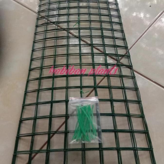 Rambatan tanaman ram kawat KS