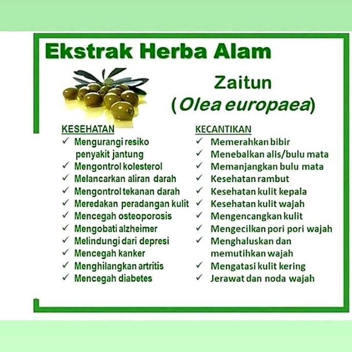 

Minyak Zaitun Extra Virgin 1 Liter Minyak Zaitun Curah