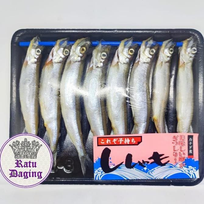 

Produk Baru!! Shisamo Fish Ikan Capelin Isi Telur Frozen Asli Jepang Besar Gendut
