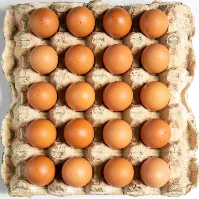 

Produk Baru!! Telur Ayam Omega 3 Murah Berkualitas - Fresh Packing