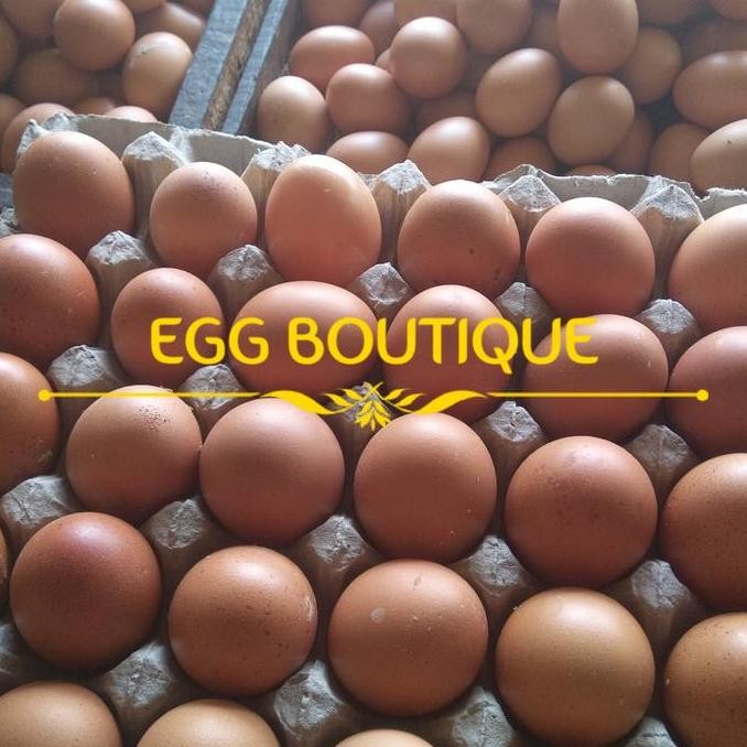 

Produk Baru!! Telur Ayam Negeri Horn Fresh Kualitas Premium
