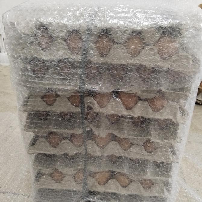 

Produk Baru!! Telur Ayam Negeri 15 Kg - Paket Telur Curah untuk Usaha