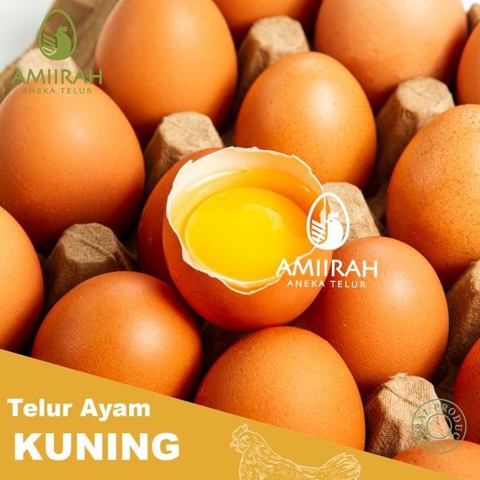 

Produk Baru!! Telur Ayam Negeri Fresh 1kg Isi 15-17 Butir - Telur Coklat Grade A