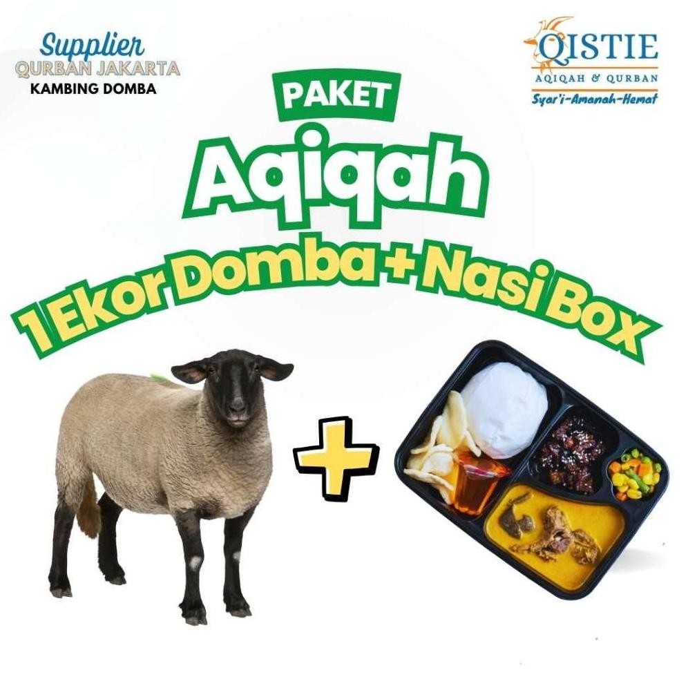 

Terlaris Paket Aqiqah + Nasi Box Komplit