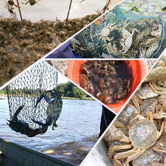 FT Jaring Ikan 4 - 16 Lubang Perangkap Ikan Udang Kepiting Otomatis Jala Bubu Pancing
