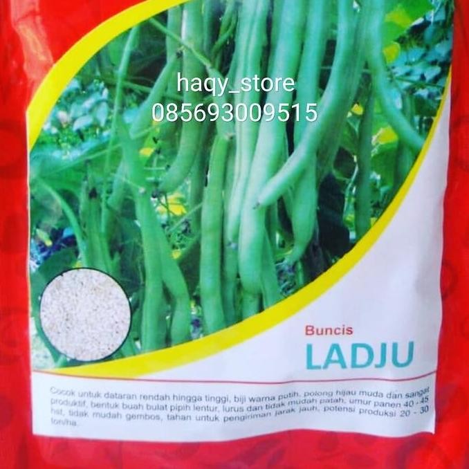 

Parling Laris! Benih Buncis Ladju 500Gr