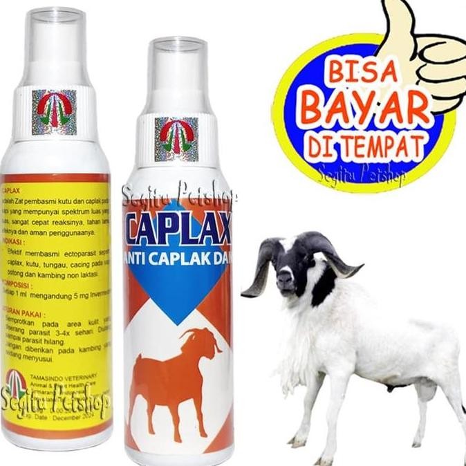 OBAT KUTU KAMBING PEMBASMI PARASIT CAPLAX KAMBING murah