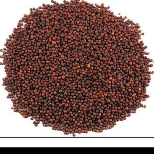 

_^_^_^] Black MUSTARD seed 500 gram/ biji sawi hitam