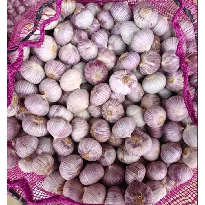 

Bahan Bla Garlic Bawang Putih Tunggal 10.Kg Bawang Fresh