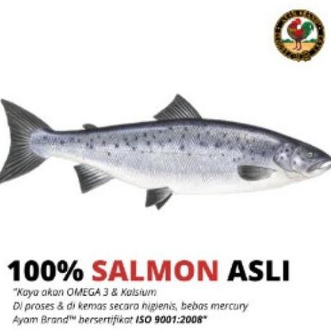

Terlaris | Terbaru | Best Seller | Termurah Ayam Brand - Paket Ikan Salmon Sarden Mackerel Kaleng Original | High Quality | Berkualitas