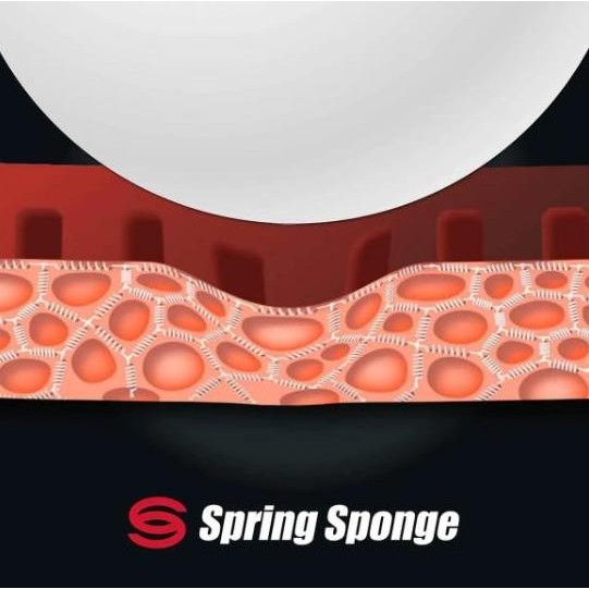 Karet Butterfly Tenergy 19 Japan