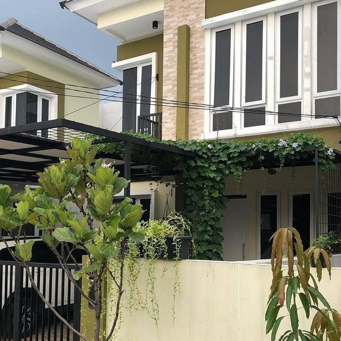 tanaman hias rambat thunbergia putih - Bibit Tanaman Thunbergia Putih