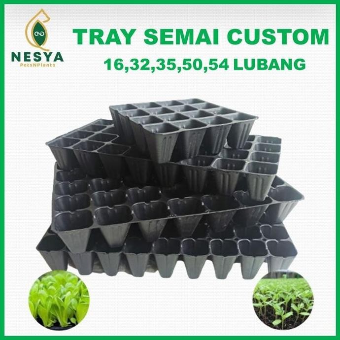 [Expert] Tray Semai Trai Semai Custom Potray Wadah Semai Skala Hobi