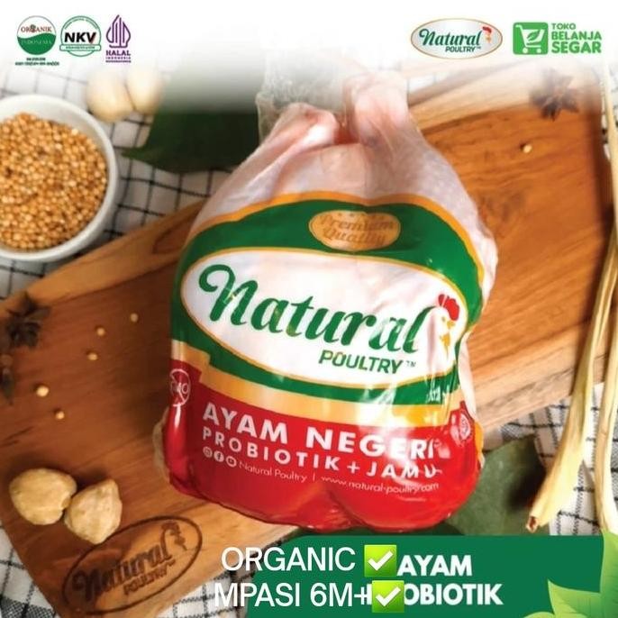 

AYAM PROBIOTIK ORGANIK SEHAT MPASI - Natural Poultry
