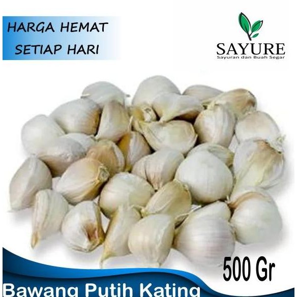 

Original Bawang Putih Kating 500gr - Bawang Premium Segar & Siap Masak