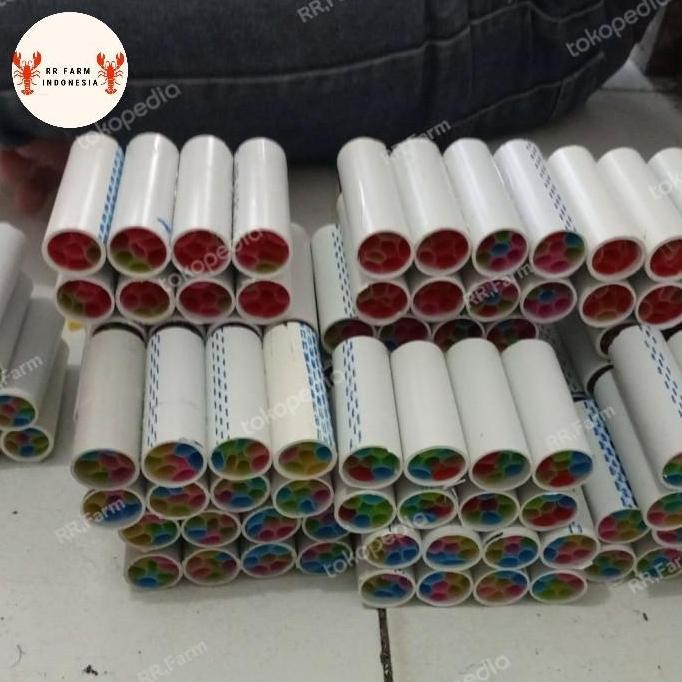 Shelter Burayak/Bibit Lobster Air Tawar