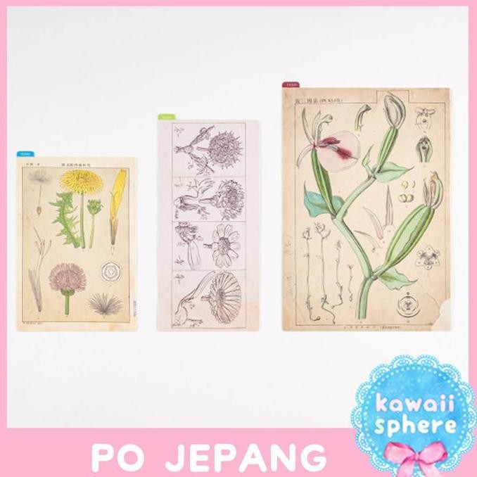 

Hobonichi Pencil Board | Tomitaro Makino | Botanic Art Plastic Sheet