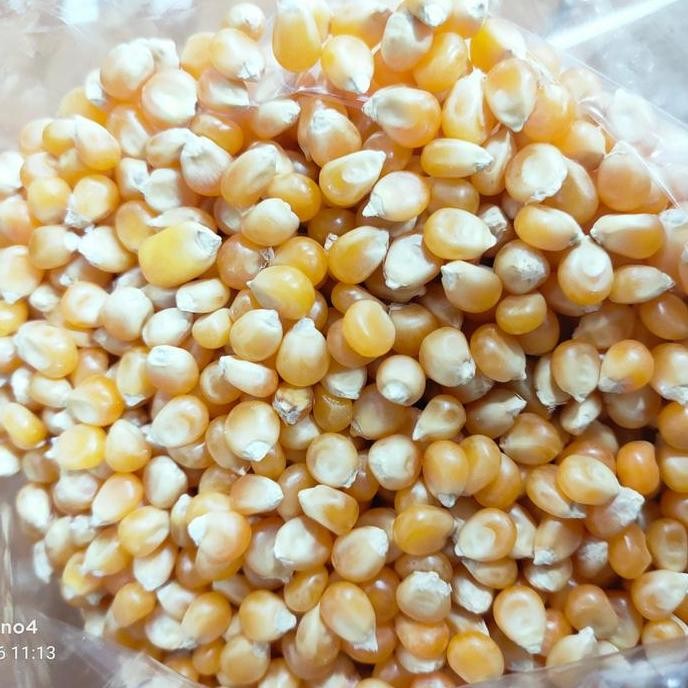 

JB Jagung Popcorn Mentah 500gram None