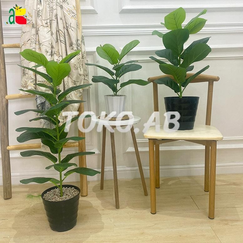 RB6103 RANGKAIAN TANAMAN POHON KETAPANG DAUN BESAR 1 CABANG POT PLASTIK DEKORASI HIASAN RUANG TAMU D