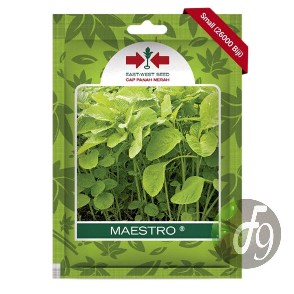 Benih bibit bayam hijau maestro 26000 butir cap panah merah biji bayem ijo cabut potong petik hidrop