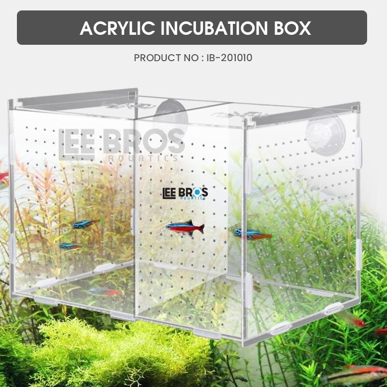 

Acrylic Incubation Box / Isolation Box / Akrilik Karantina Ikan Nugi
