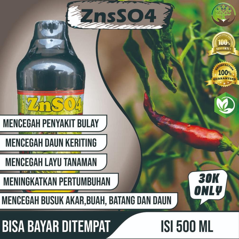 Obat Semprot Organik Anti Daun Cabe Kuning Keriting ZnSO4 GAZA ZINK SULFATE Anti Patek dan Busuk Cab