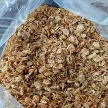 

Diskon! Black Garlic Tunggal 1 Kg - Bawang Putih Hitam Lanang Herbal Kesehatan