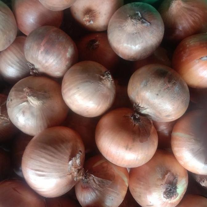 

Diskon! Bawang Bombay Segar 10kg Ukuran 60-85 Grade A