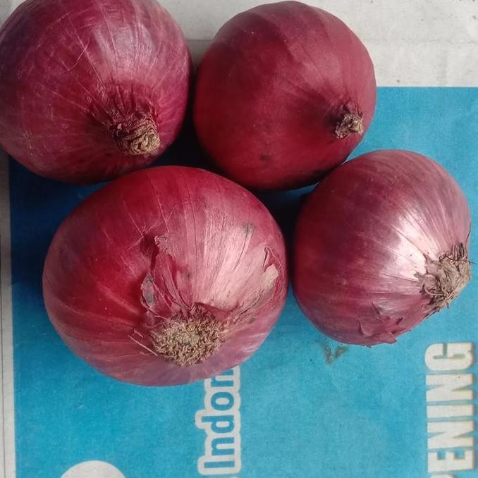 

Diskon! Bawang Merah India 1kg Peking Segar Murah