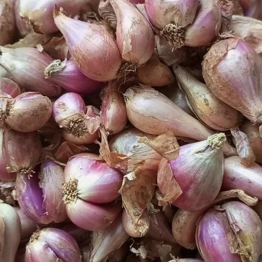 

Diskon! Bawang Merah Sumenep 1Kg Fresh Premium untuk Masakan Harian
