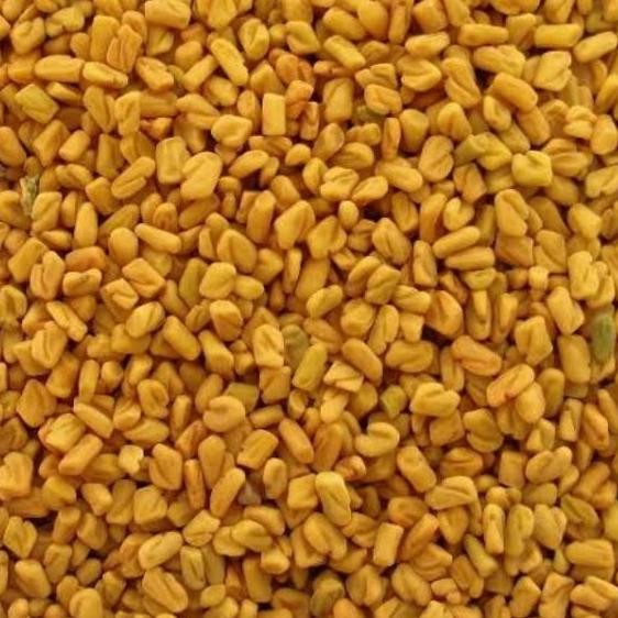 

best produk] Alba/Fenugreek seed/methi 500 gr