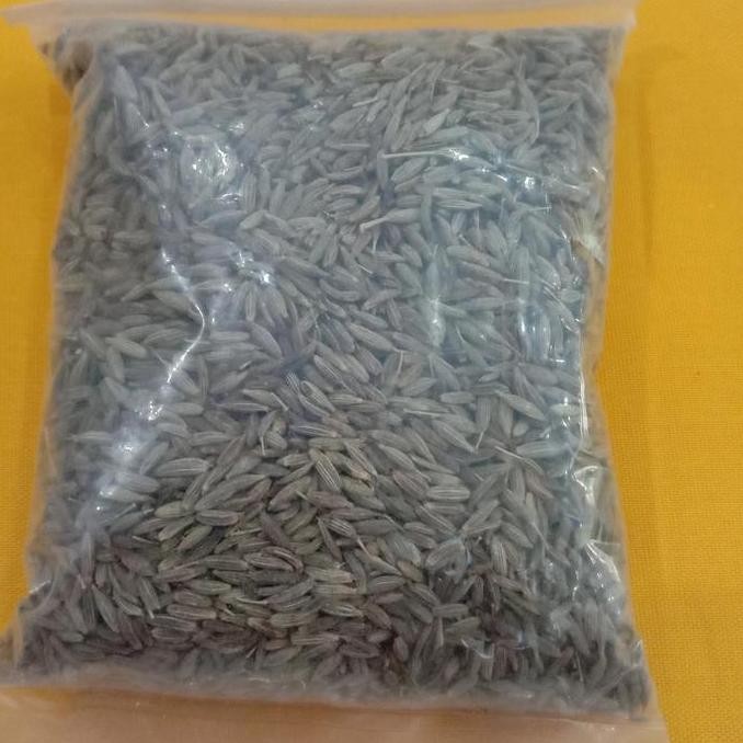 

*#*#*#] Jintan halus 50gr