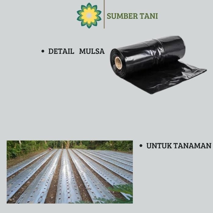 AS Plastik Mulsa 1 Roll Lebar 160 Cm
