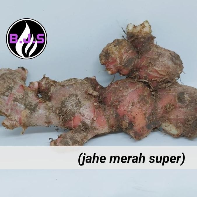 

Diskon! Jahe Merah Kering Super 1Kg | Jahe Empon-Empon Alami Pedas