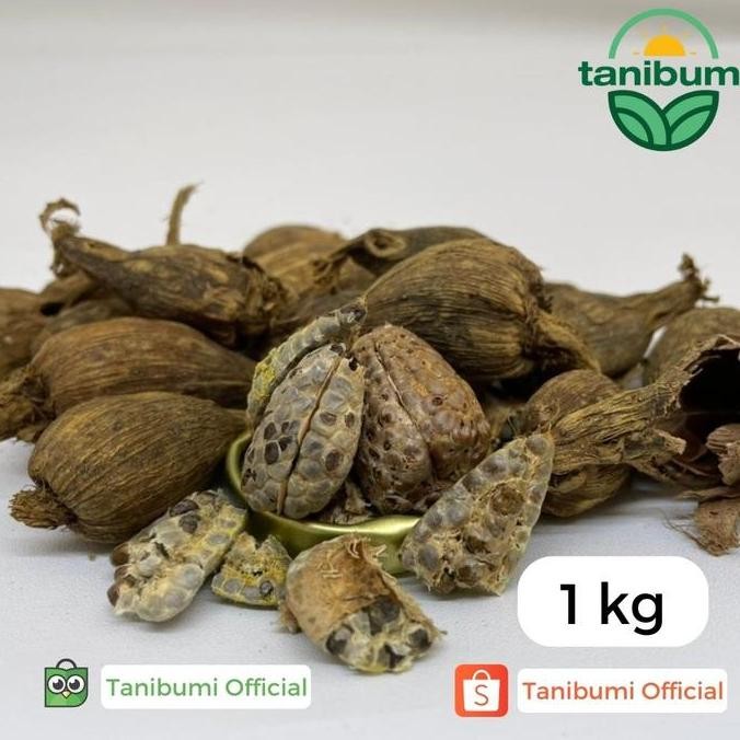 

Diskon! Kapulaga Hitam 1Kg | Black Cardamom Super Premium Import Quality