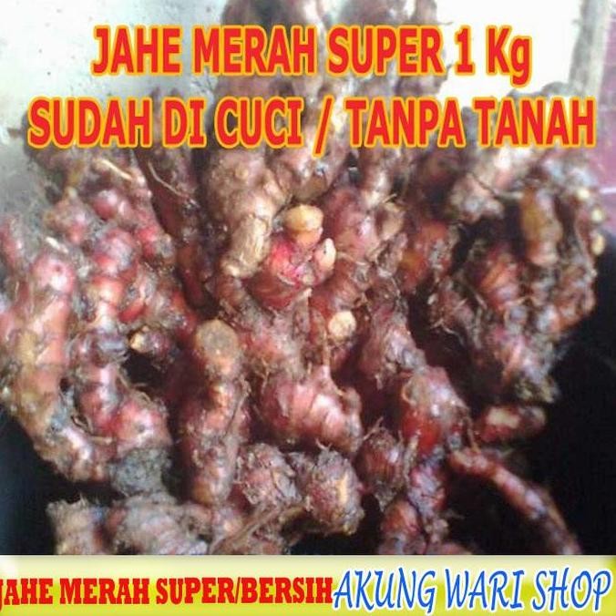 

Diskon! Jahe Merah Super 1Kg Medan / Sudah Dicuci Bersih Siap Pakai