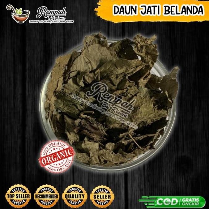 

Diskon! Daun Jati Belanda Kering 1 Kg Herbal Tradisional