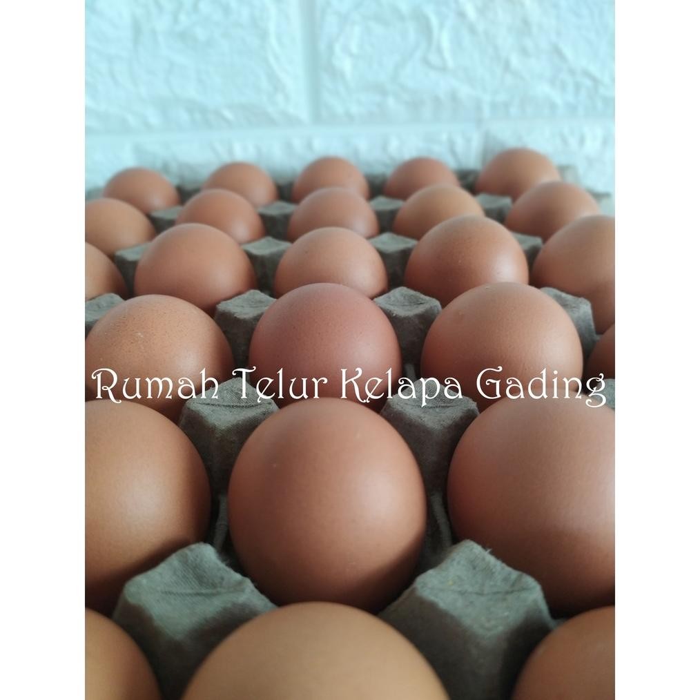 

Telur ayam / Telor ayam negeri per kilo aSt