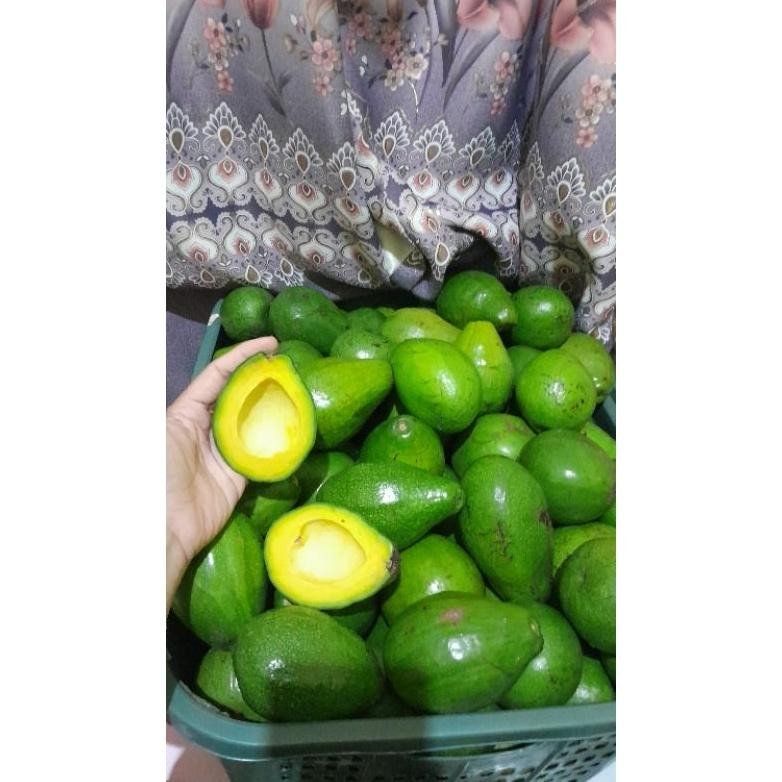 

Alpukat Mentega Boyolali Segar Tanpa Serat aSt