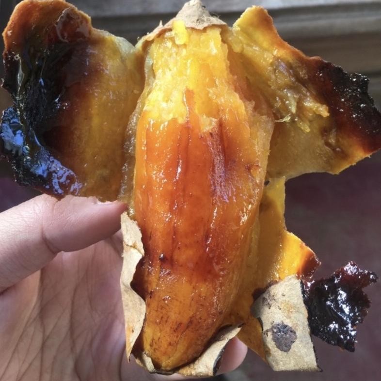 

Ubi madu lumer cilembu matang oven 1kg aSt