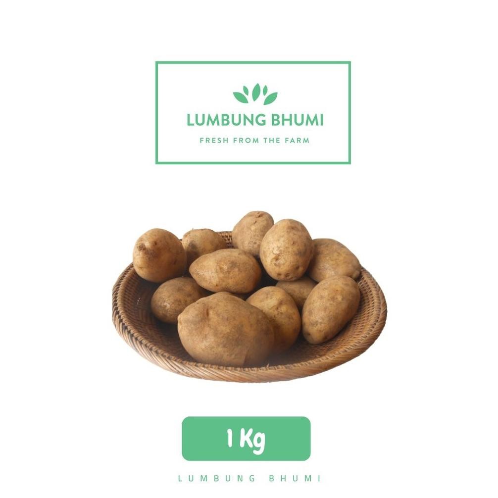 

Lumbung Bhumi - Kentang Dieng Sedang 1 Kg ( Sayur Curah ) aSt