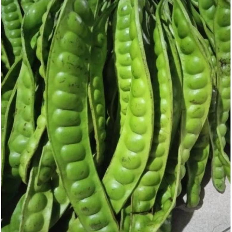 

Pete 3 lonjor/ papan aSt