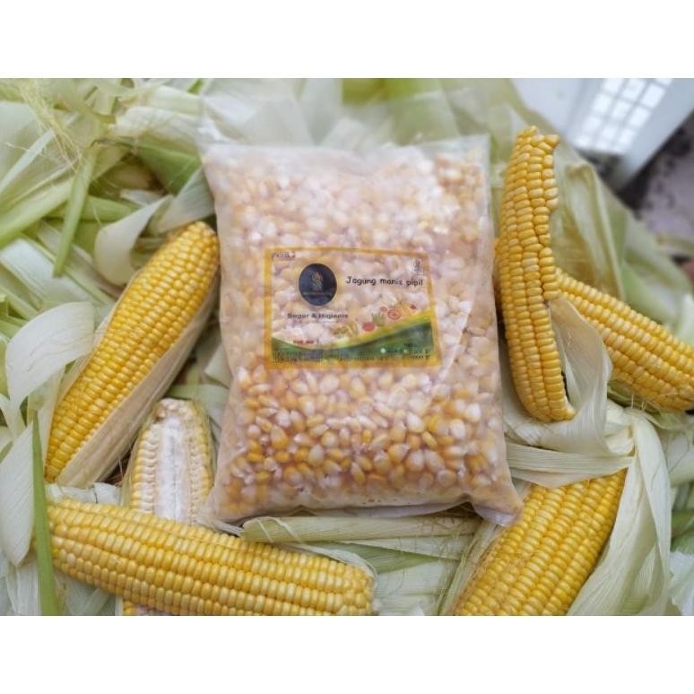 

Jagung manis Pipil 1 kg aSt